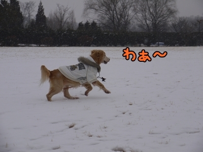 1雪遊び08.jpg