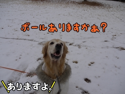 1雪遊び11.jpg