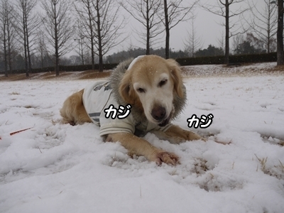 1雪遊び12.jpg