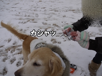 1雪遊び15.jpg