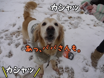 1雪遊び16.jpg