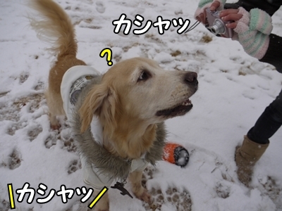 1雪遊び18.jpg