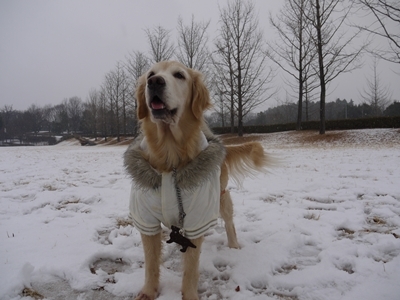 1雪遊び19.jpg