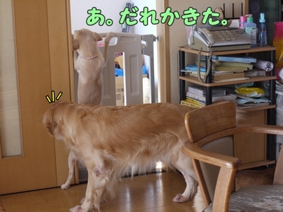 2さくら家01.jpg