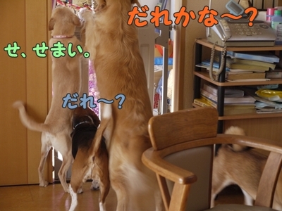 2さくら家02.jpg