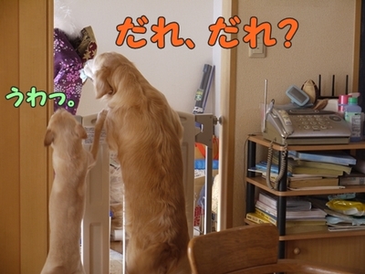 2さくら家03.jpg