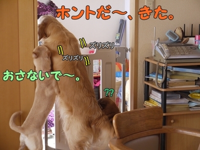 2さくら家04.jpg
