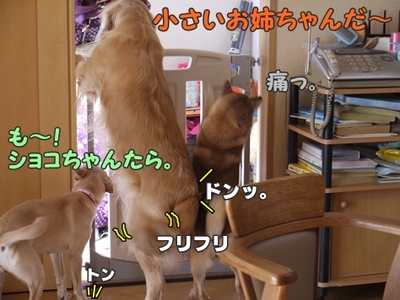 2さくら家05.jpg