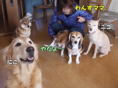 2さくら家07.jpg
