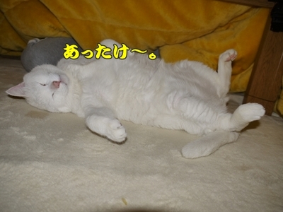 2さくら家15.jpg