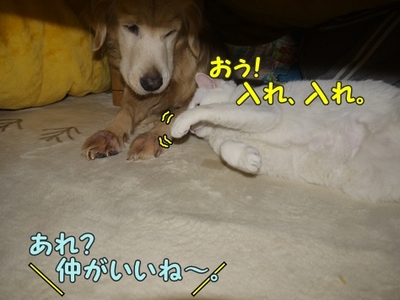2さくら家17.jpg