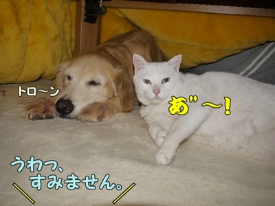 2さくら家18.jpg