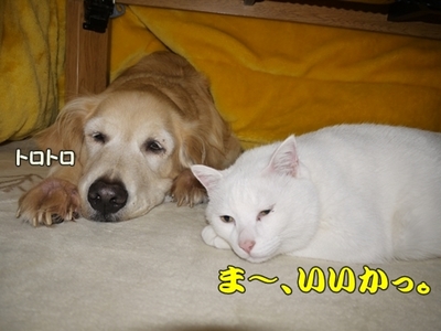2さくら家19.jpg