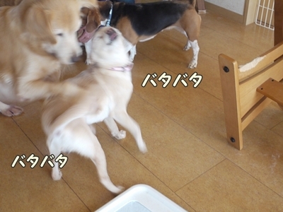 2さくら家20.jpg