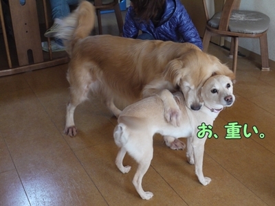 2さくら家21.jpg
