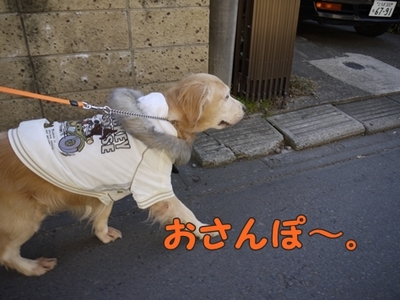 1元旦01.jpg