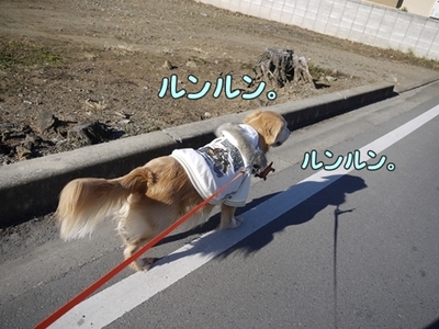 1元旦02.jpg