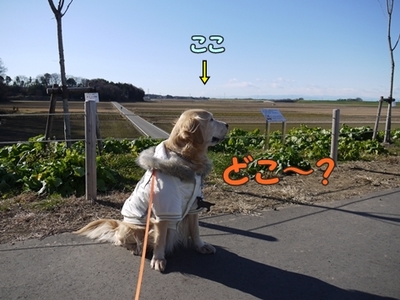 1元旦04.jpg