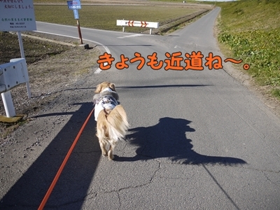 1元旦05.jpg