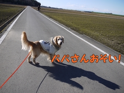 1元旦07.jpg