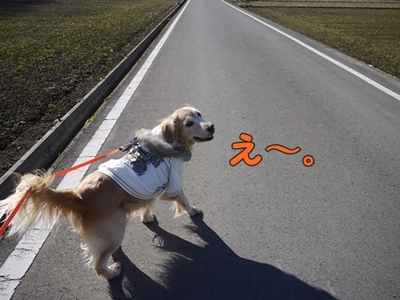 1元旦08.jpg