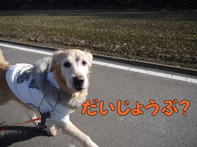 1元旦09.jpg