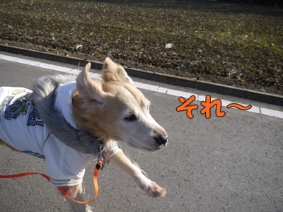 1元旦10.jpg