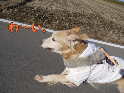 1元旦11.jpg