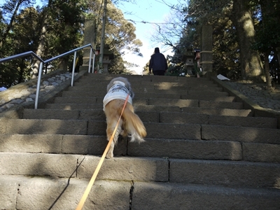 1元旦14.jpg
