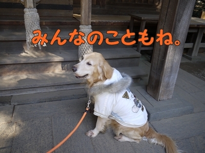 1元旦16.jpg