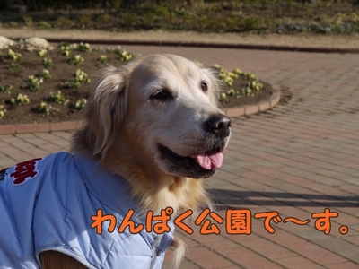 1続き01.jpg