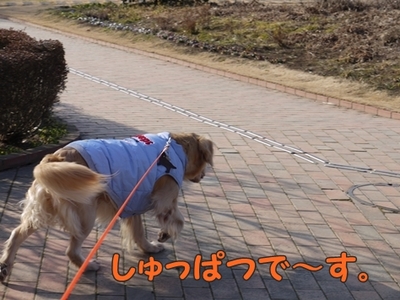 1続き02.jpg