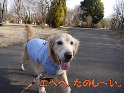 1続き03.jpg
