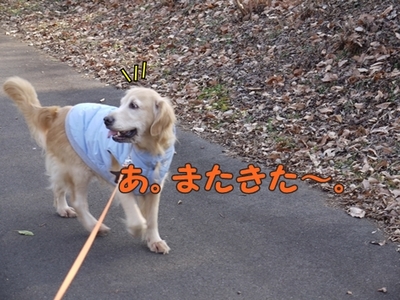 1続き04.jpg