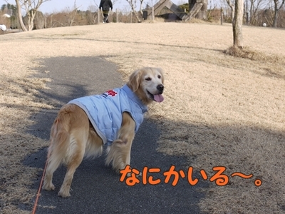 1続き06.jpg