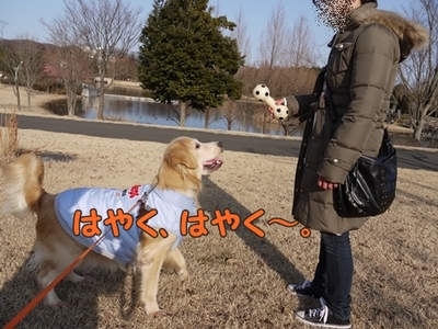 1続き08.jpg