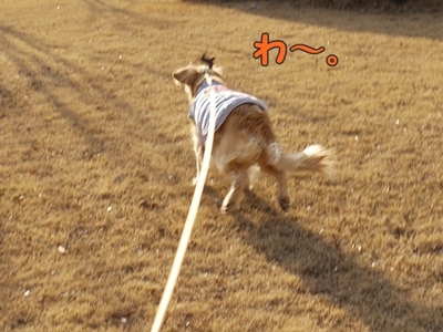 1続き09.jpg