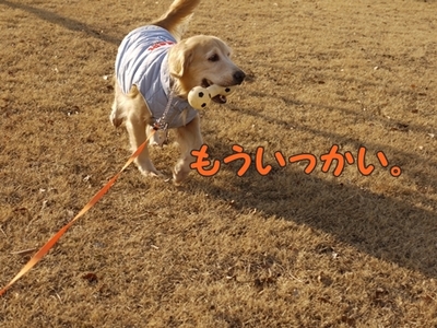 1続き10.jpg