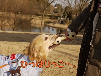 1続き11.jpg