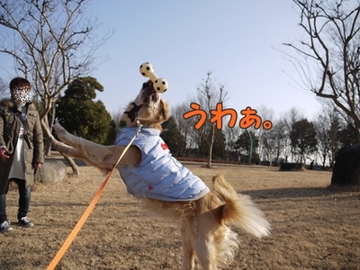 1続き12.jpg