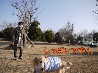1続き13.jpg