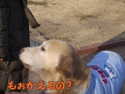 1続き14.jpg