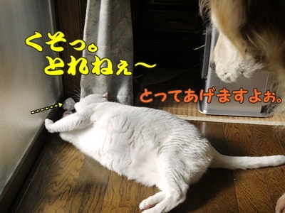 1続き16.jpg