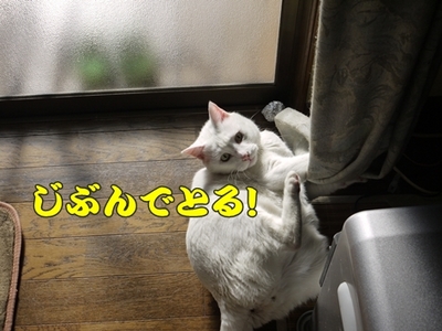 1続き17.jpg