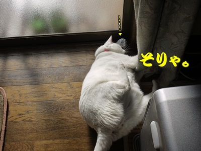 1続き18.jpg