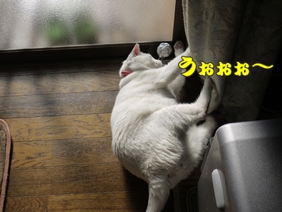 1続き19.jpg