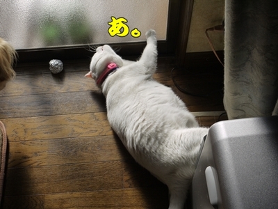 1続き20.jpg
