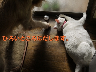 1続き21.jpg