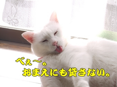 1続き24.jpg