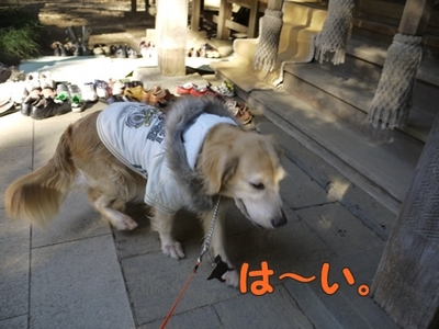 1太鼓橋01.jpg